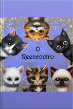 O Reencontro