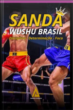 Sanda Wushu Brasil