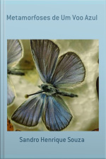 Metamorfoses De Um Voo Azul