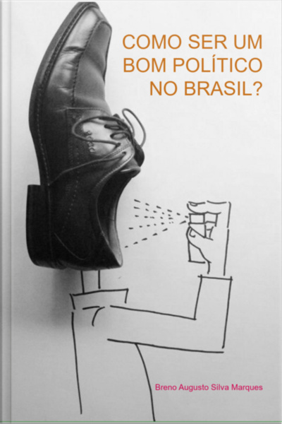 Como Ser Um Bom Político No Brasil?