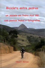 Bicicleta Entre Pedras
