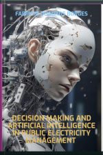 Decision Making And Artificial Intelligence In Public Electricity Management