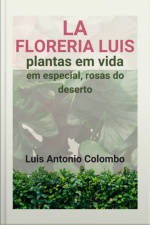 La Floreria Luis. Plantas Em Vida. Em Especial, Rosas Do Deserto