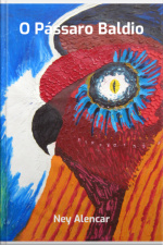 O Pássaro Baldio
