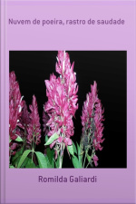 Nuvem De Poeira, Rastro De Saudade