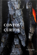 Contos Curtos