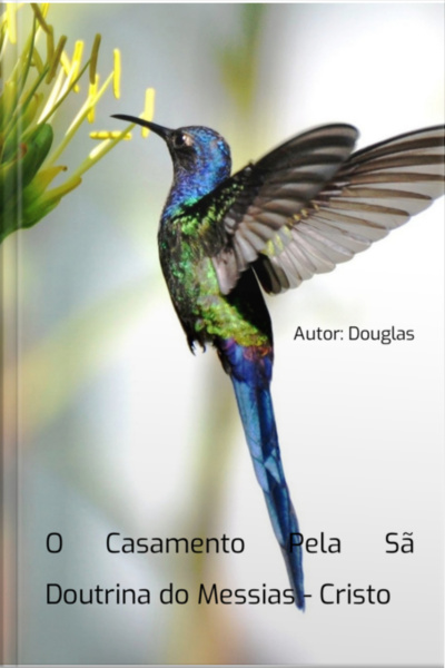 O Casamento Pela Sã Doutrina Do Messias - Cristo