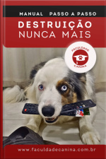 Manual Destruição Nunca Mais