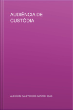 Audiência De Custódia