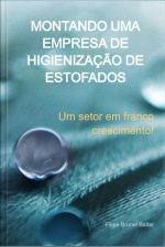 Montando Uma Empresa De Higienização De Estofados