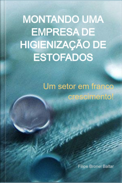 Montando Uma Empresa De Higienização De Estofados