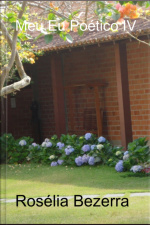 Meu Eu Poético Iv
