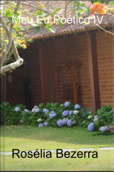 Meu Eu Poético Iv