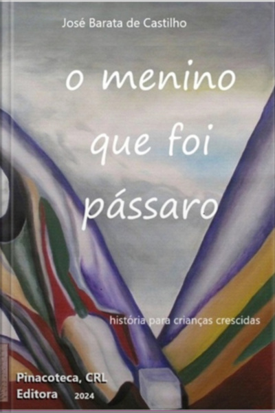 O Menino Que Foi Pássaro