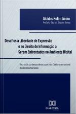 Desafios À Liberdade De Expressão E Ao Direito De Informação A Serem Enfrentados No Ambiente Digital: Uma Visão Contemporânea A Partir Do Direito Internacional Dos Direitos Humanos