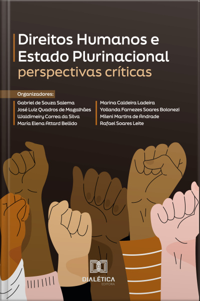 Direitos Humanos E Estado Plurinacional: Perspectivas Críticas