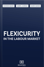 Flexicurity In The Labour Market