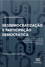 Desdemocratização E Participação Democrática: A Percepção Dos Agentes Dos Orçamentos Participativos De Rio Grande E São Lourenço Do Sul (2013-2016)