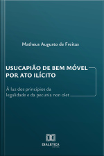Usucapião De Bem Móvel Por Ato Ilícito: À Luz Dos Princípios Da Legalidade E Da Pecunia Non Olet