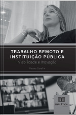 Trabalho Remoto E Instituição Pública: Viabilidade E Inovação