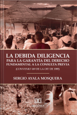La Debida Diligencia Para La Garantía Del Derecho Fundamental A La Consulta Previa (convenio 169 De La Oit De 1989)