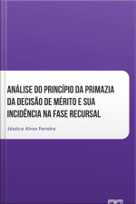 Análise Do Princípio Da Primazia Da Decisão De Mérito E Sua Incidência Na Fase Recursal