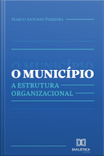 O Município: A Estrutura Organizacional