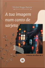 A Tua Imagem Num Canto De Sarjeta: Crônicas Do Olhar De Si