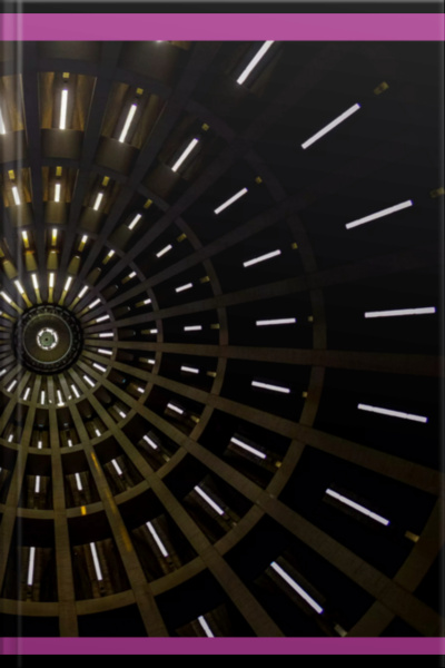 A Busca Da devida Fundamentação Na Concessão De Medidas Executivas Atípicas A Partir Da Teoria De Robert Alexy