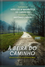 À Beira Do Caminho