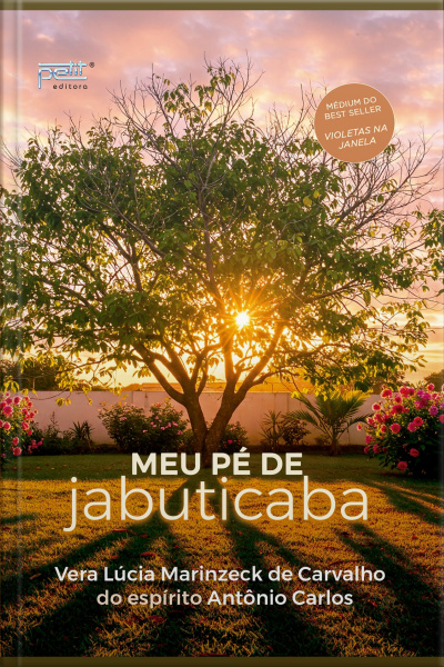 Meu Pé De Jabuticaba