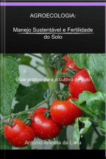 Agroecologia: Manejo E Fertilidade Do Solo