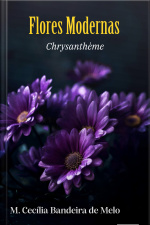 Flores Modernas - Chrysanthème
