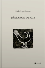 Pássaros De Giz