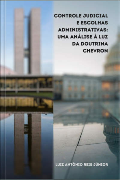 Controle Judicial E Escolhas Administrativas