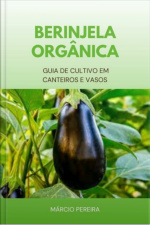 Berinjela Orgânica