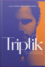 Triptik: Uma Viagem Na Terra Dos Gurus E Outras Bandas