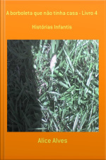 A Borboleta Que Não Tinha Casa - Livro 4