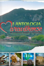 I Antologia E Encontro Maravilhense De Escritores
