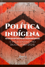 Política Indígena E Indigenismo No Brasil (1980-2024)