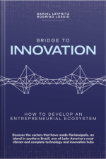 Bridge To Innovation