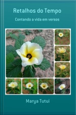 Retalhos Do Tempo