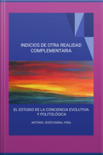 Indicios De Otra Realidad Complementaria