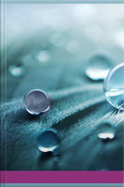 Retratos De Baudelaire