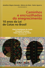 Caminhos E Encruzilhadas Do Enegrecimento: 10 Anos Da Lei De Cotas No Brasil