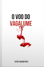 O Voo Do Vagalume