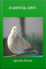O Canto Da Juriti