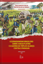 O Expansionismo Brasileiro Sobre A Bacia Platina E A Guerra Da Tríplice Aliança Contra O Paraguai