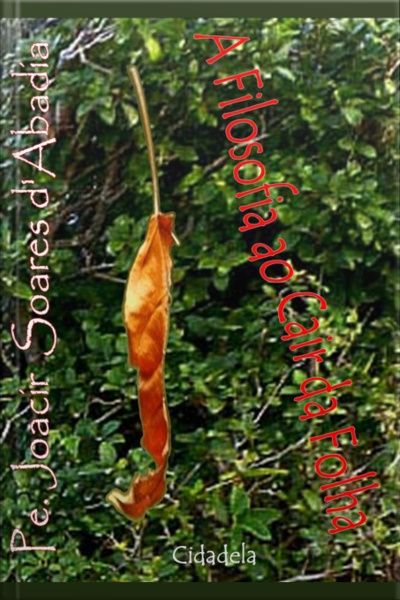 A Filosofia Ao Cair Da Folha