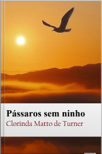Pássaros Sem Ninho